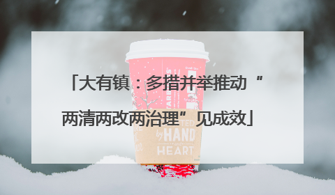 大有镇：多措并举推动“两清两改两治理”见成效